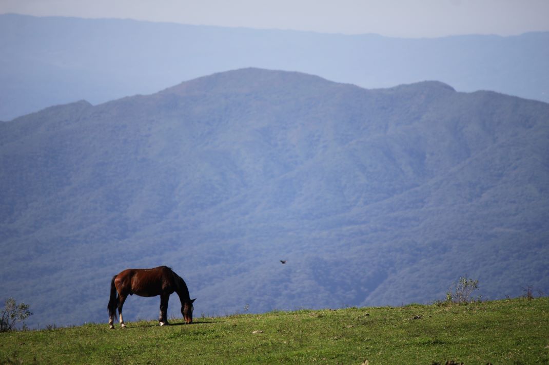 Imagen de galería 1